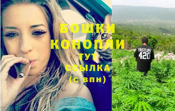 героин Каменка