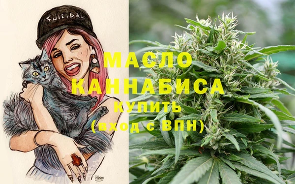спиды Каменногорск
