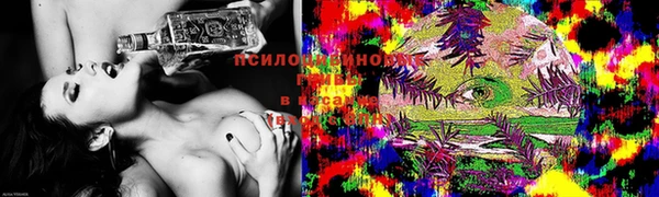 спиды Каменногорск