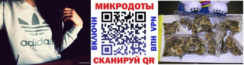 Купить  Городовиковск  Галлюциногенные грибы мицелий 