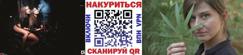 Купить где  Городовиковск  Канабис сатива 